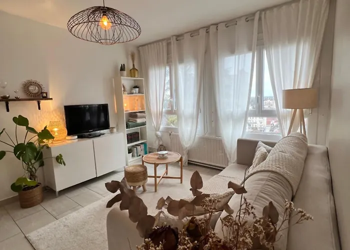 Le Bellevue - T3 - Gare & Les Jardins Darcy - Parking Free