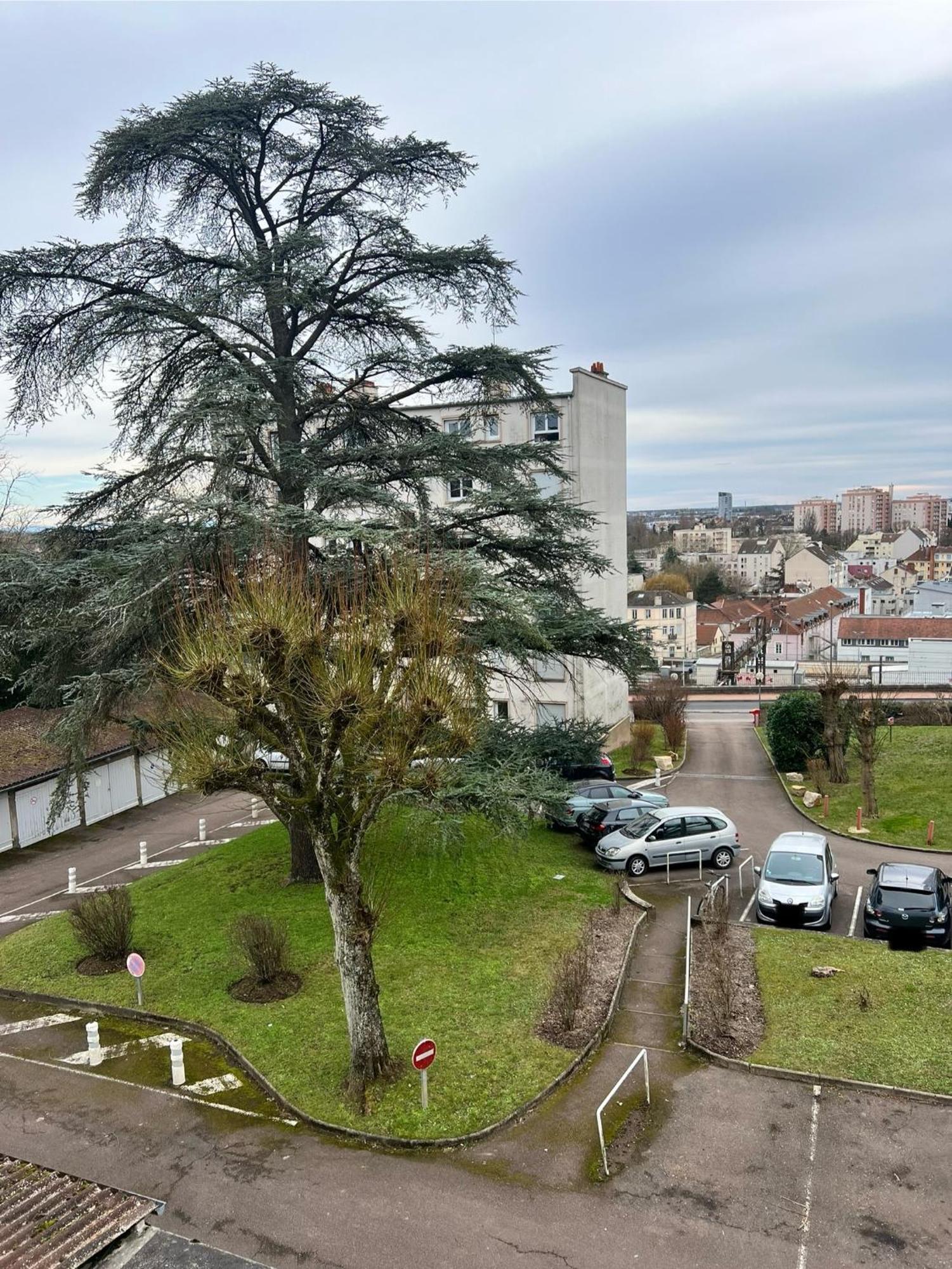 Le Bellevue - T3 - Gare & Les Jardins Darcy - Parking Free